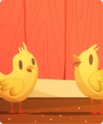chicken